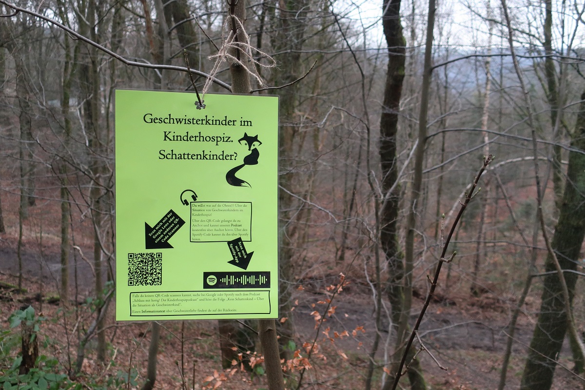 Bild12